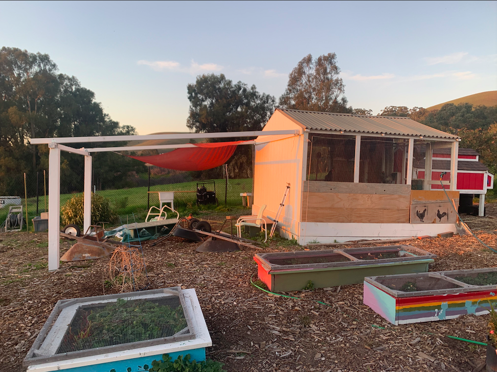 Screen Shot 2020-03-05 at 2.24.21 PM.png