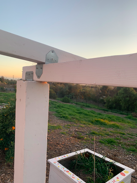 Screen Shot 2020-03-05 at 2.45.11 PM.png