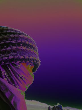 Chlorophil - 100_6036.JPG