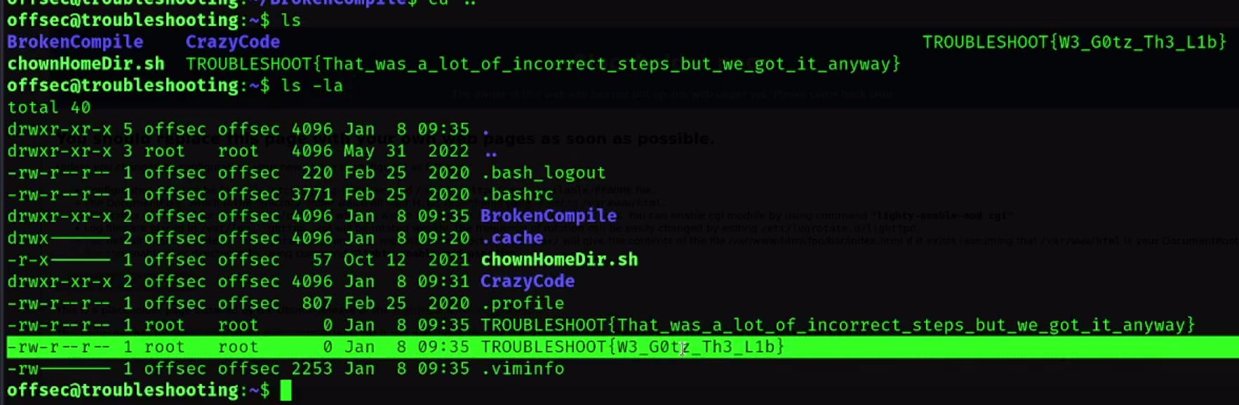 Screenshot From 2025-02-07 10-42-45.png
