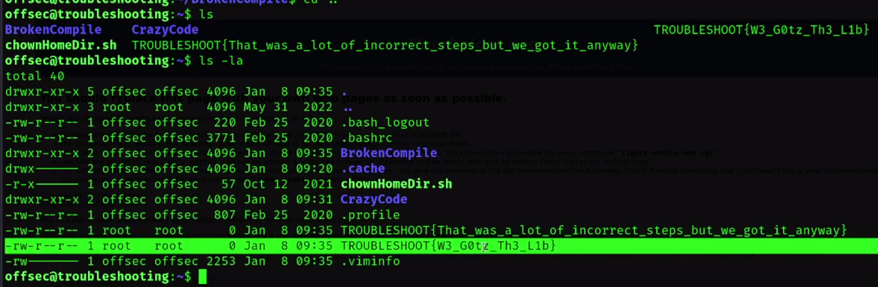 Screenshot From 2025-02-07 10-42-45.png