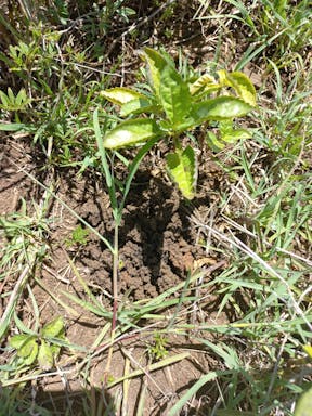 Spring _2022-20-344_09-20_74.jpg