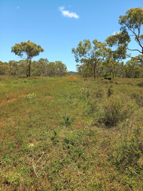 #4 Kelly's West _2022-23-344_09-23_35.jpg