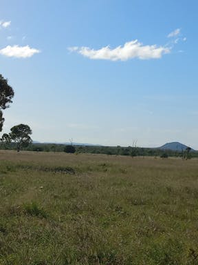 # Burnett_2022-35-344_09-35_16.jpg