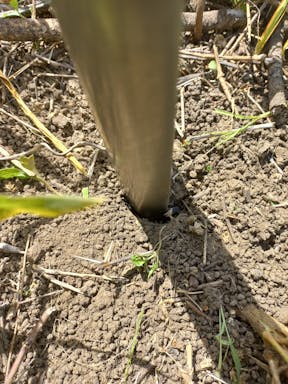 bull pdk_2022-36-344_09-36_77.jpg