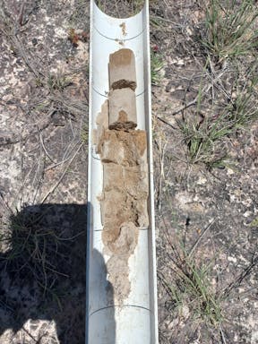 Cell 7_2022-25-344_09-25_52.jpg