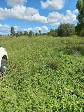 bull pdk_2022-36-344_09-36_76.jpg