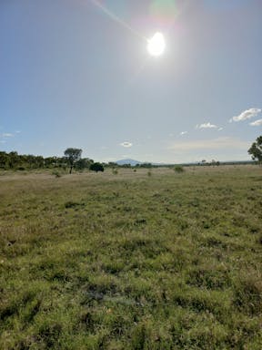 # Burnett_2022-35-344_09-35_19.jpg