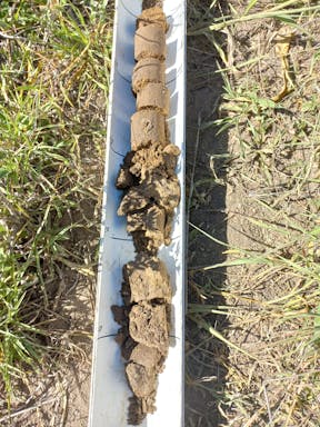 kangaroo cell 1_2022-36-344_09-36_44.jpg