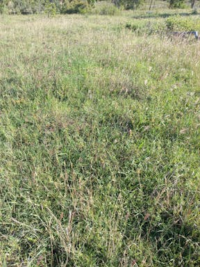 # Burnett_2022-35-344_09-35_9.jpg