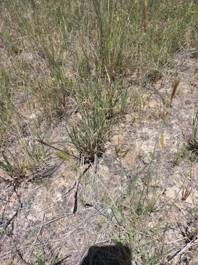 Cell 7_2022-25-344_09-25_48.jpg