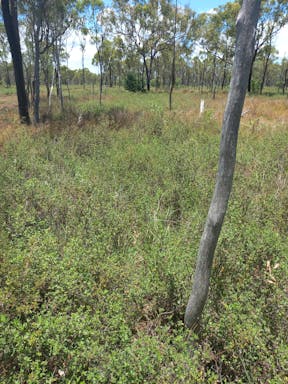 # Elliot river top_2022-18-344_09-18_5.jpg