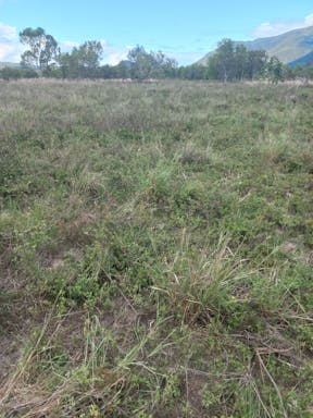 Cayley Valley _2022-45-344_09-45_32.jpg