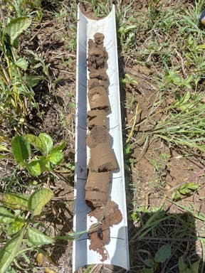 Spring _2022-20-344_09-20_68.jpg