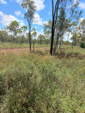 # Elliot river top_2022-18-344_09-18_6.jpg