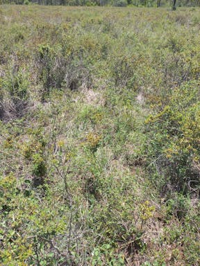 #4 Kelly's West _2022-23-344_09-23_37.jpg