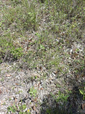 top plain creek_2022-25-344_09-25_22.jpg