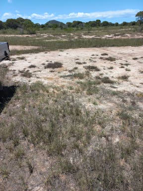 Cell 7_2022-25-344_09-25_51.jpg