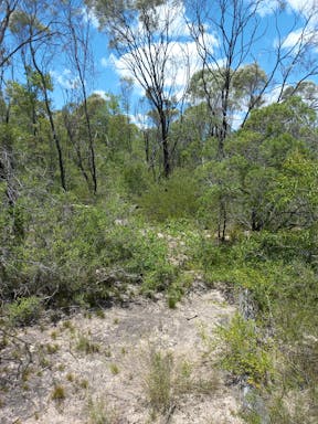 #2. Elliot River _2022-19-344_09-19_55.jpg