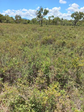 #4 Kelly's West _2022-23-344_09-23_36.jpg