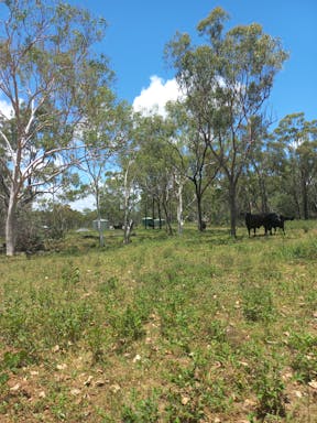 #2. Elliot River _2022-19-344_09-19_57.jpg