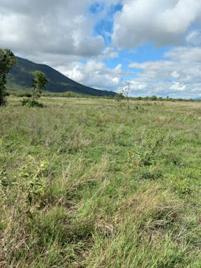 Kelmans _2022-38-344_09-38_62.jpg