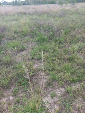 Cayley Valley _2022-45-344_09-45_29.jpg