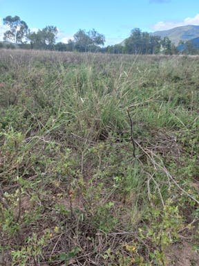 Cayley Valley _2022-45-344_09-45_28.jpg