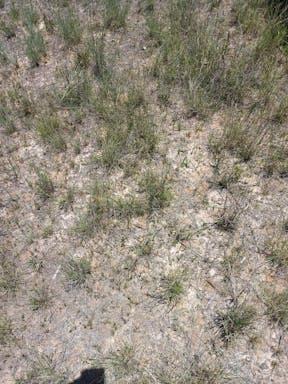 Cell 7_2022-25-344_09-25_53.jpg