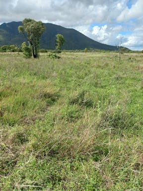 Kelmans _2022-38-344_09-38_65.jpg