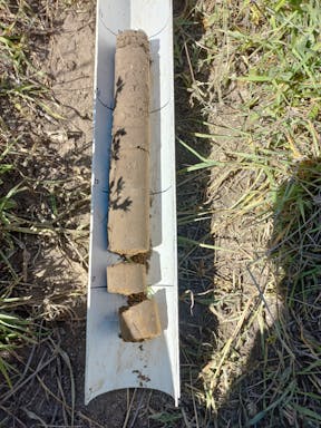 kangaroo cell 1_2022-36-344_09-36_45.jpg