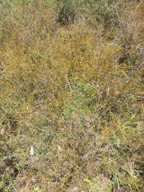 # Elliot river top_2022-18-344_09-18_3.jpg