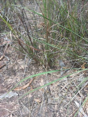 #2. Elliot River _2022-19-344_09-19_56.jpg