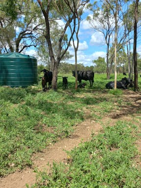 Spring _2022-20-344_09-20_66.jpg