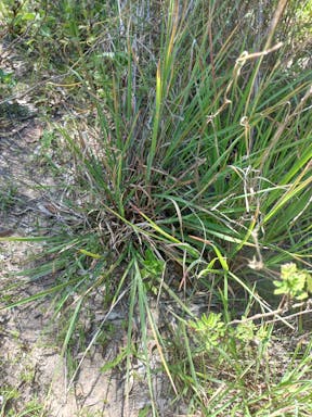 top plain creek_2022-25-344_09-25_23.jpg