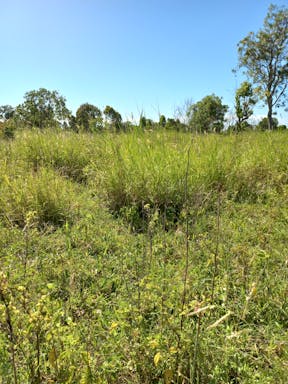 kangaroo cell 1_2022-36-344_09-36_43.jpg