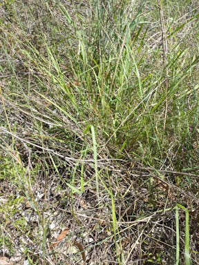 top plain creek_2022-25-344_09-25_20.jpg