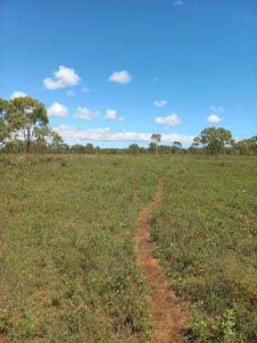 Spring _2022-20-344_09-20_69.jpg