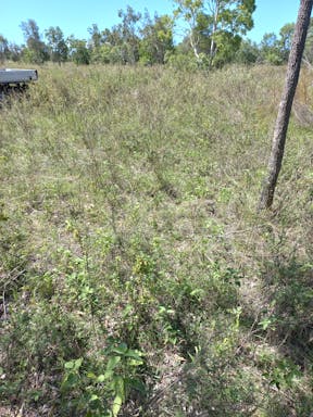 top plain creek_2022-25-344_09-25_25.jpg