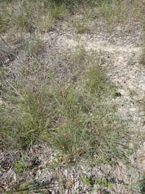 top plain creek_2022-25-344_09-25_24.jpg