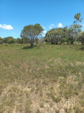 Cell 7_2022-25-344_09-25_49.jpg