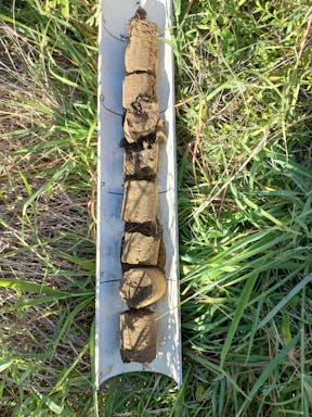 # Burnett_2022-35-344_09-35_10.jpg