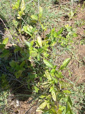 Spring _2022-20-344_09-20_71.jpg