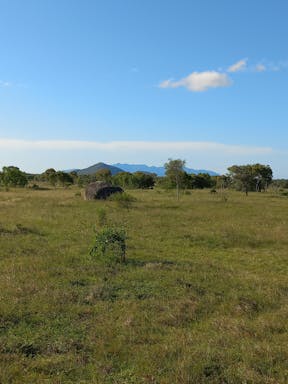 # Burnett_2022-35-344_09-35_8.jpg