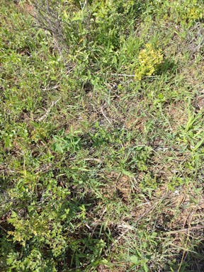 Kelmans _2022-38-344_09-38_61.jpg