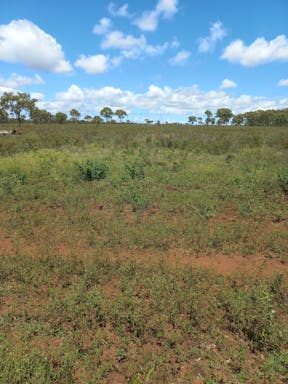 #4 Kelly's West _2022-23-344_09-23_33.jpg