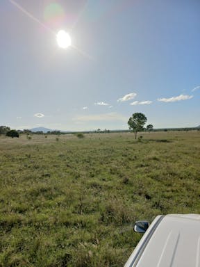 # Burnett_2022-35-344_09-35_13.jpg