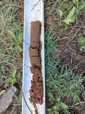 Spring _2022-20-344_09-20_73.jpg