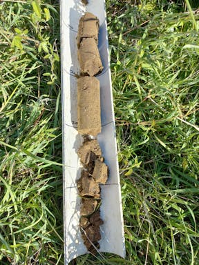 # Burnett_2022-35-344_09-35_11.jpg