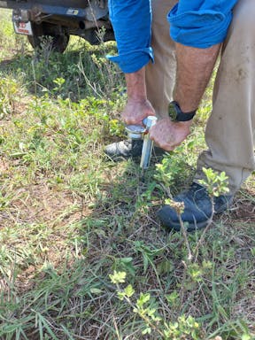 Spring _2022-20-344_09-20_70.jpg